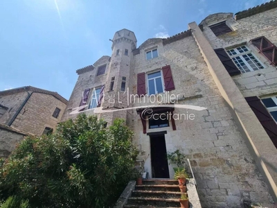 Prestigieux château de 394 m2 en vente - Castelnau-Montratier, Occitanie