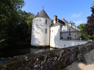 Prestigieux château de 600 m2 en vente - Nangis, Île-de-France