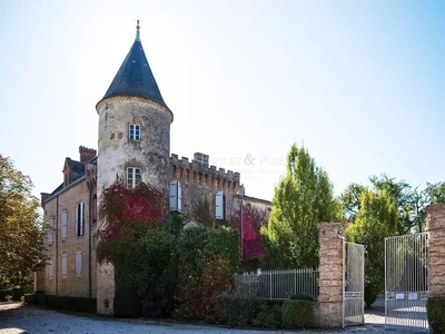 Prestigieux château de 900 m2 en vente - Toulouse, France