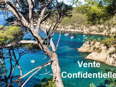 Villa de luxe de 7 pièces en vente Carqueiranne, Provence-Alpes-Côte d'Azur