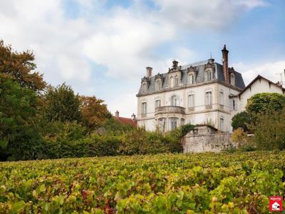 Prestigieux château de 670 m2 en vente - Mercurey, Bourgogne-Franche-Comté