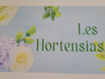 Les Hortensias - Appartement (F3) à Néris-les-Bains idéal pour cures thermales
