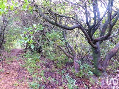 Terrain de 48 540 m² à Faugères (34600)