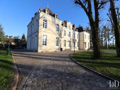 Prestigieux château de 828 m2 en vente - Voulton, France