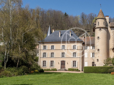 Vente Château Saint-Alban-les-Eaux - 12 chambres