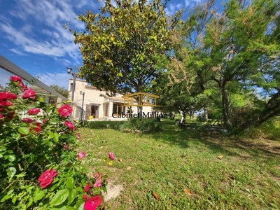 Villa de luxe de 5 pièces en vente Vic-la-Gardiole, Occitanie