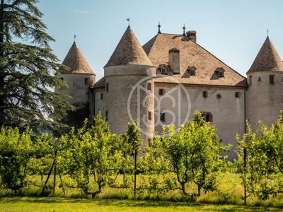 Prestigieux château en vente Bons-en-Chablais, France