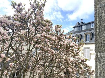 6 room luxury Flat for sale in Quimper, Brittany