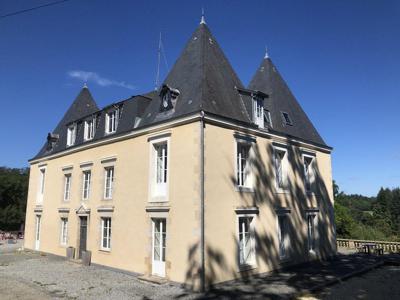 Castle for sale in Châteauneuf-la-Forêt, France
