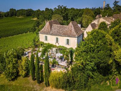Prestigieux château de 300 m2 en vente - Bergerac, France