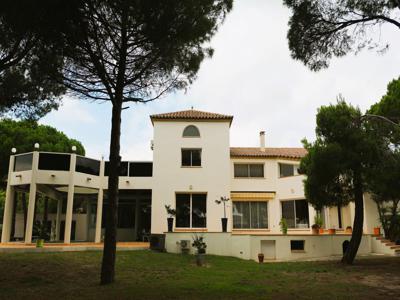 Villa de luxe de 7 pièces en vente Narbonne, France