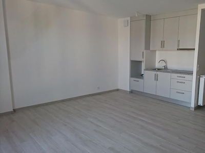 Location appartement 1 pièce 33.01 m²