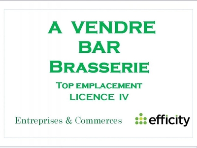 Vente locaux professionnels 234 m²