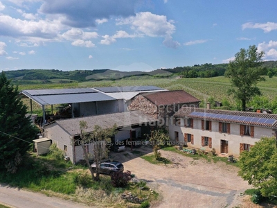 12 room luxury Farmhouse for sale in Gaillac, France
