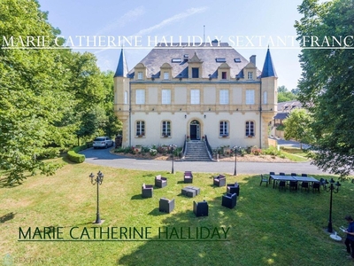 Prestigieux château de 1100 m2 en vente - Montignac, France