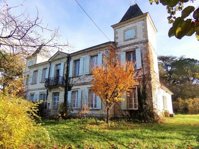 Castle for sale - Vic-Fezensac, Occitanie