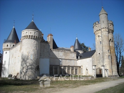 Castle for sale in Neuvy-le-Barrois, Centre