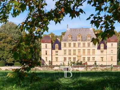 Prestigieux château de 1200 m2 en vente - Fareins, Auvergne-Rhône-Alpes