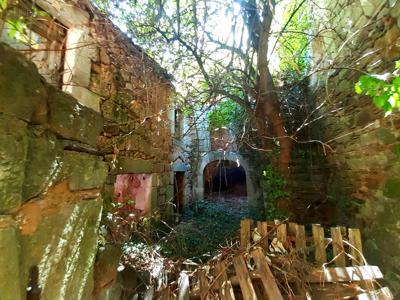 Ancienne habitation médiévale à restaurer dans la belle vallée du tarn