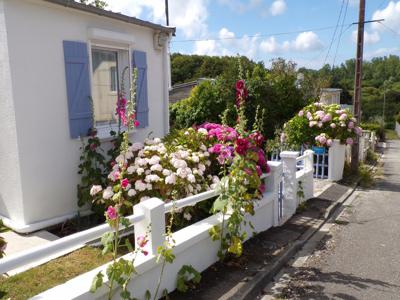 Maison cosy de plain-pied à 500 m de la plage et du GR34 (Finistère, Bretagne)