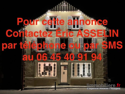 Immobilier Professionnel à vendre Saint-Dié-des-Vosges