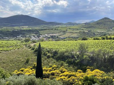 Maison de campagne de luxe en vente Lézignan-Corbières, Languedoc-Roussillon