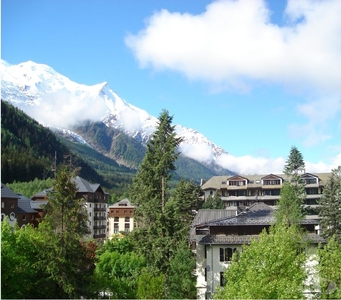 F2 de 35 m² Chamonix centre vue Mont Blanc