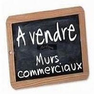 Vente locaux professionnels 157 m²