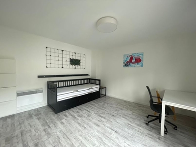 Location meublée appartement 1 pièce 25.56 m²