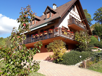Chambre d'hôtes proche des châteaux, des sentiers de randonnées et de la Route des vins d'Alsace
