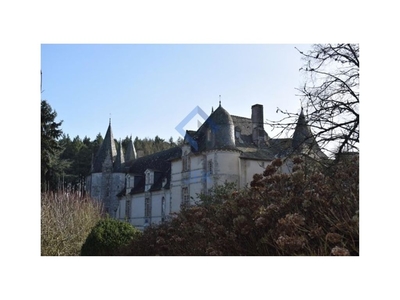 Prestigieux château de 900 m2 en vente - Rennes, France