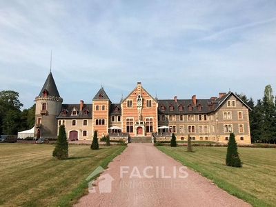 Prestigieux château en vente Lurcy-Lévis, France