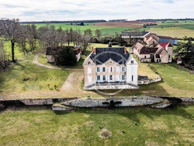 Prestigieux château de 430 m2 en vente - Neuville-lès-Decize, France