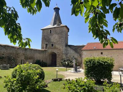 Prestigieux château de 442 m2 en vente - Châtellerault, France