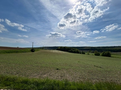 Maison de luxe en vente à Germaine, France