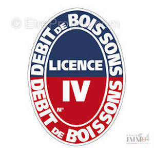 Licence iv