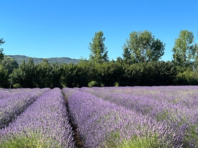 Vente maison 15 pièces 533 m² Gordes (84220)