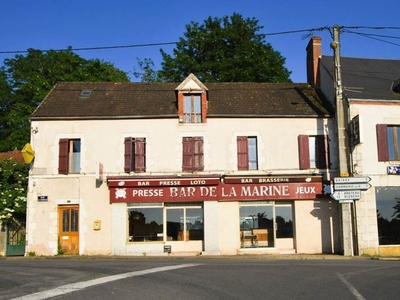 Vente maison 8 pièces 232 m² Ouzouer-sur-Trézée (45250)