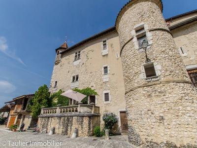 Prestigieux château en vente Saint-Marcellin, France