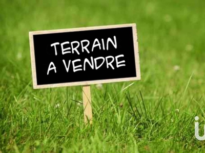 Terrain Loisirs de 991 m² à Saint-Firmin-sur-Loire (45360)