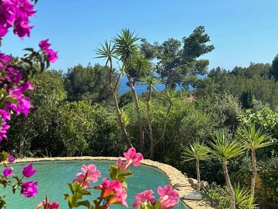 Villa de luxe de 7 pièces en vente Bandol, France