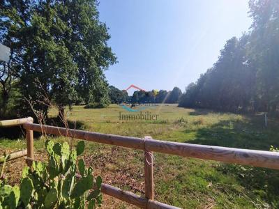 Maison de luxe de 6 pièces en vente à Sautron, Pays de la Loire