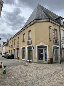 Beaumont-sur-Sarthe(72170)