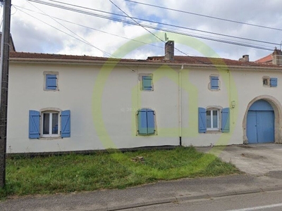 Vente maison 11 pièces 272 m² Saint-Firmin (54930)