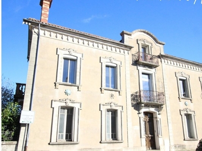 Vente maison 12 pièces 480 m² Vic-en-Bigorre (65500)
