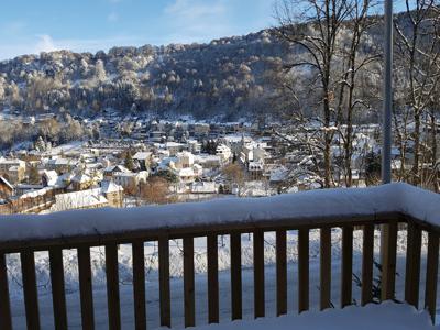 chalet de LOZELOUX location 8 pers proche du centre du Mont-Dore,station thermale et de ski au cœur des volcans d'Auvergne