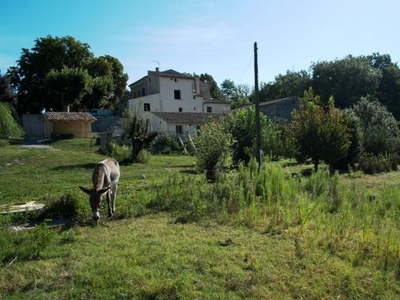 Les Ânes de Forcalquier, gîte sur un domaine arboré en Haute-Provence