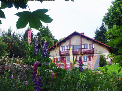 Location Vacances des Fougères au domaine des Gémeaux à Gérardmer dans les Vosges