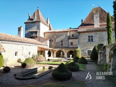 Prestigieux château de 750 m2 en vente - Casteljaloux, Nouvelle-Aquitaine