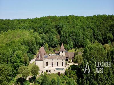 Prestigieux château en vente Tombebœuf, Nouvelle-Aquitaine